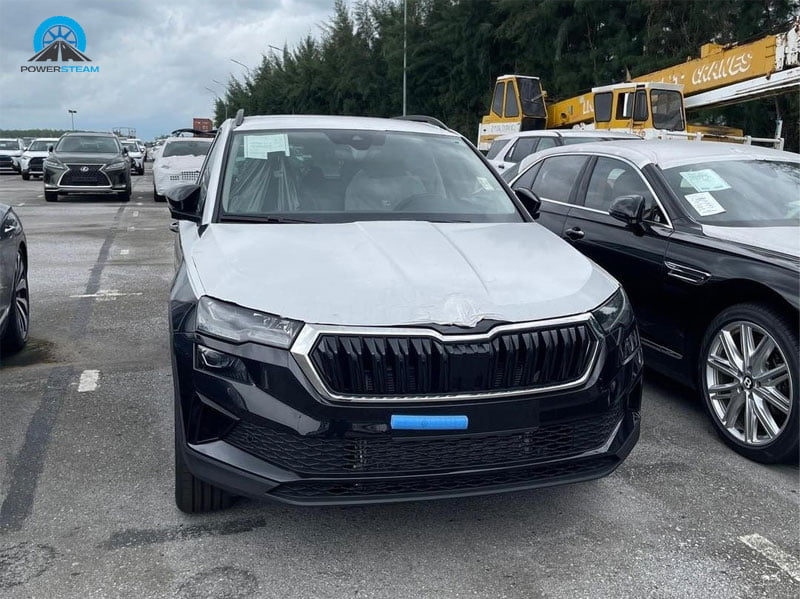 skoda-karoq-cap-cang-powersteam