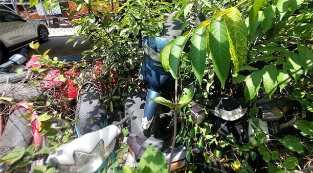 hang-loat-xe-may-vo-chu-powersteam-1