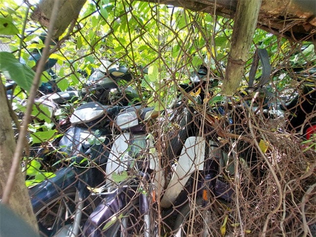 hang-loat-xe-may-vo-chu-powersteam-5