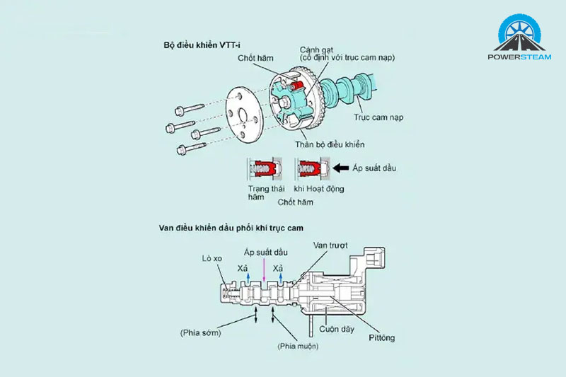 Cau-tao-vvt-i-powersteam
